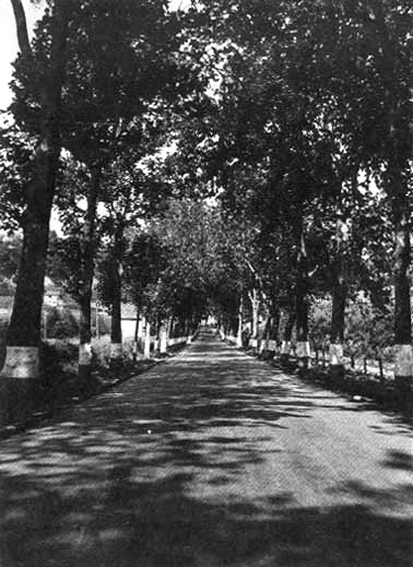 Acquapendente la Strada Cassia fuori Porta Romana nel 1950 (Archivio Mauro Galeotti)